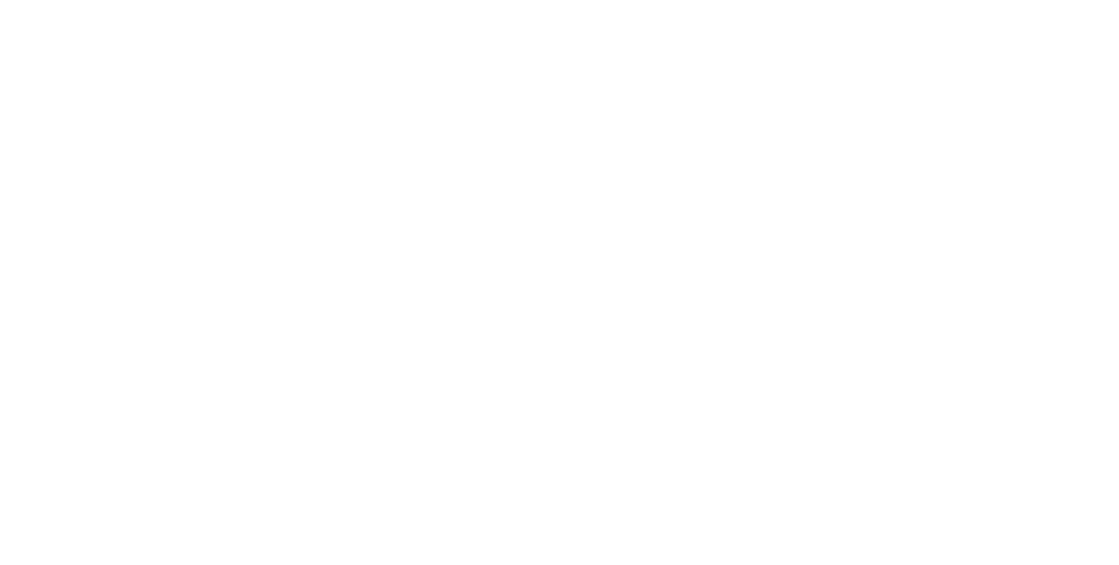 Mad Monkey Adventure